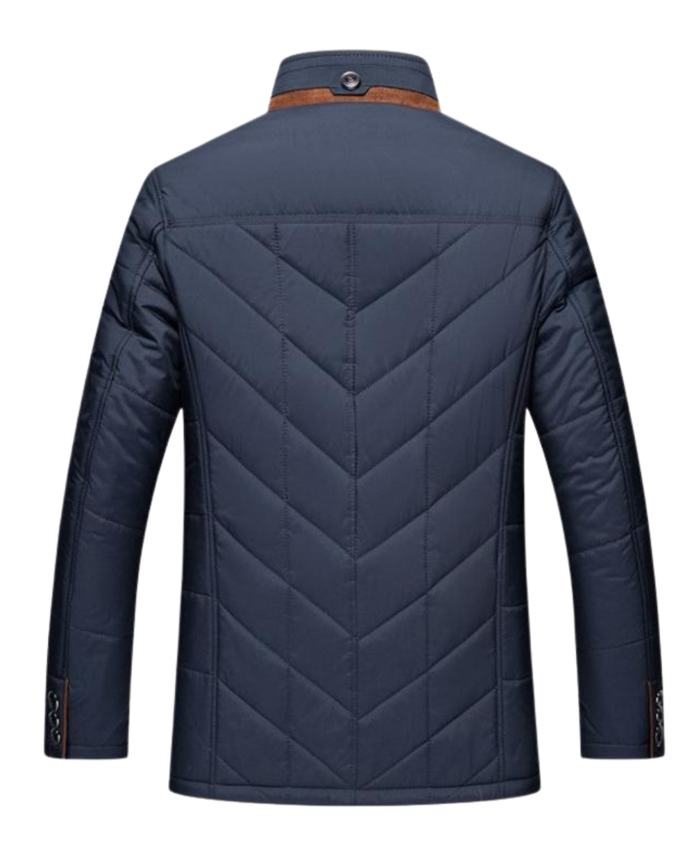 Veste d'Hiver Solomon à Col Montant