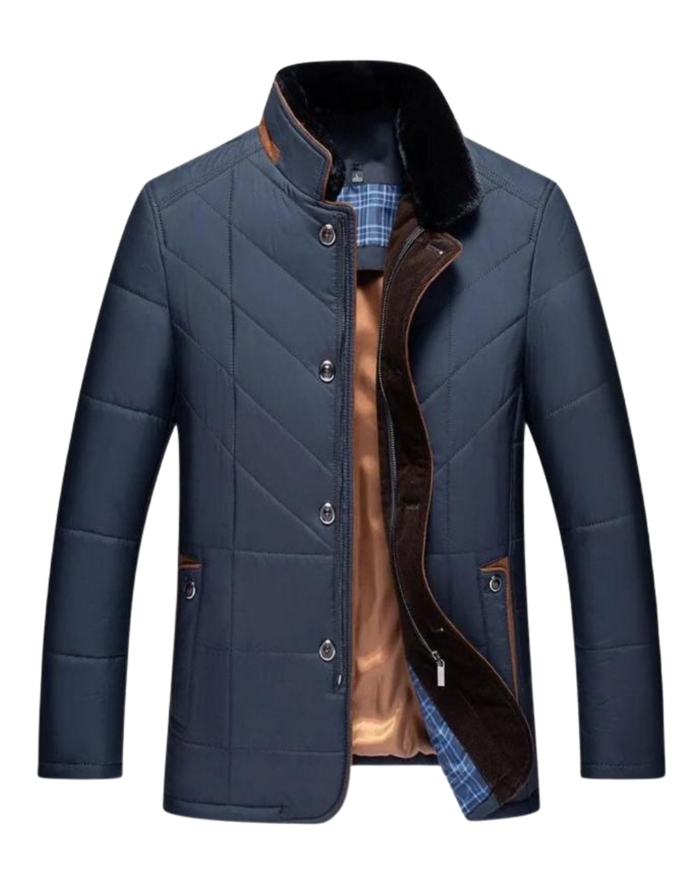 Veste d'Hiver Solomon à Col Montant